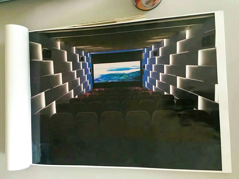 Leesche Array image2